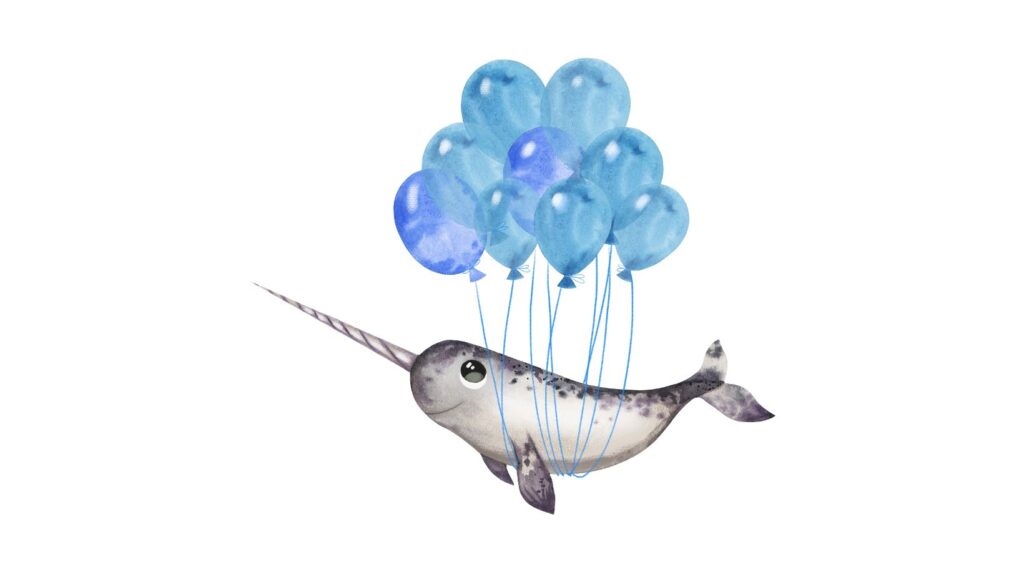 cute:bd9qw-g7s8m= narwhal