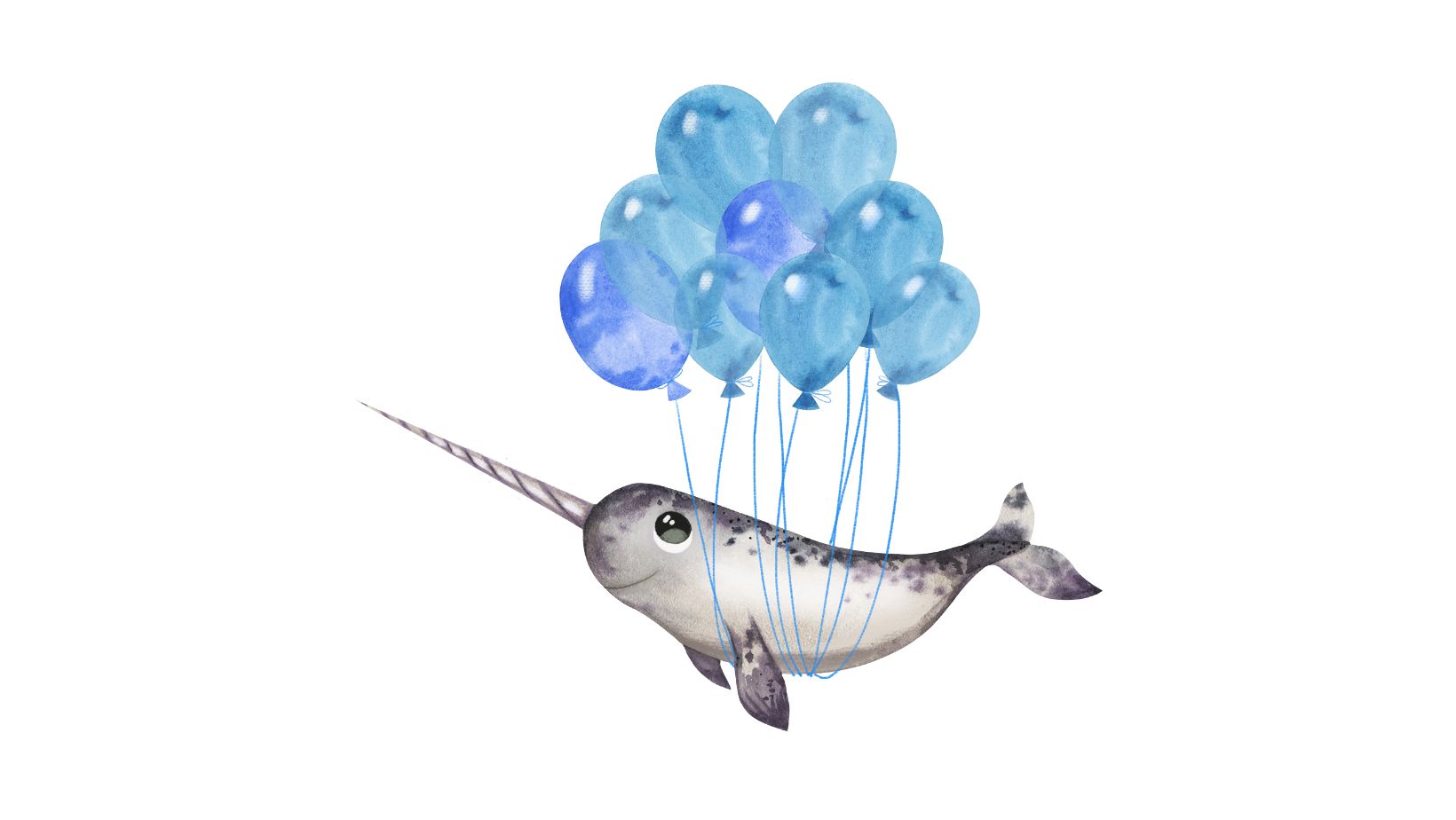 cute:bd9qw-g7s8m= narwhal